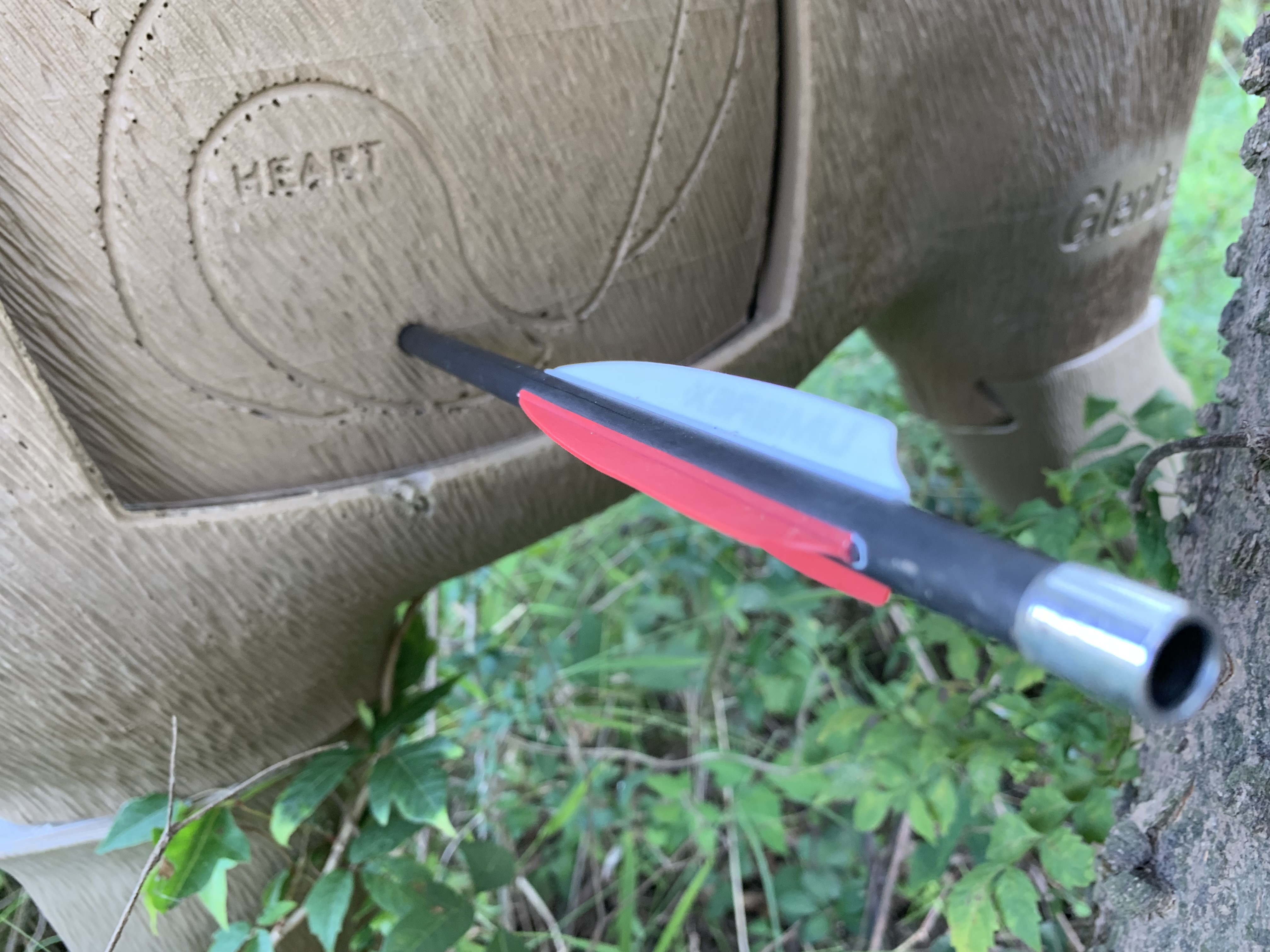 Deer target with arrow in vital area
